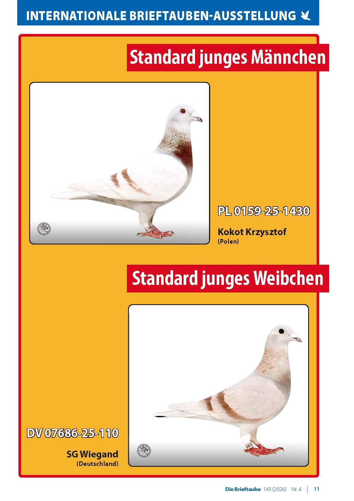 0426 Brieftaube Messe Seite 11