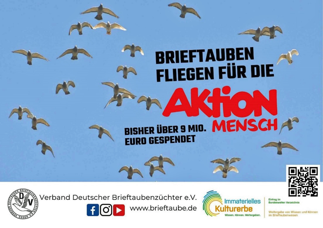 Bild1 Kopie